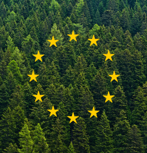 Déforestation et dégradation des forêts : nouvelle règlementation applicable dès 2026
